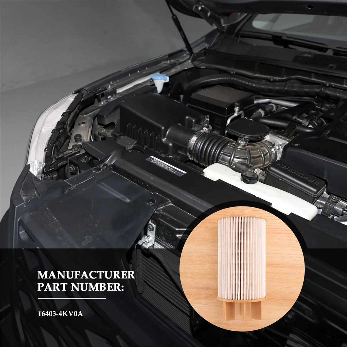 Éléments de filtre à carburant pour Nissan Navara Np300, séparateur d'eau de carburant, numéro de pièce 16403-4KV0A