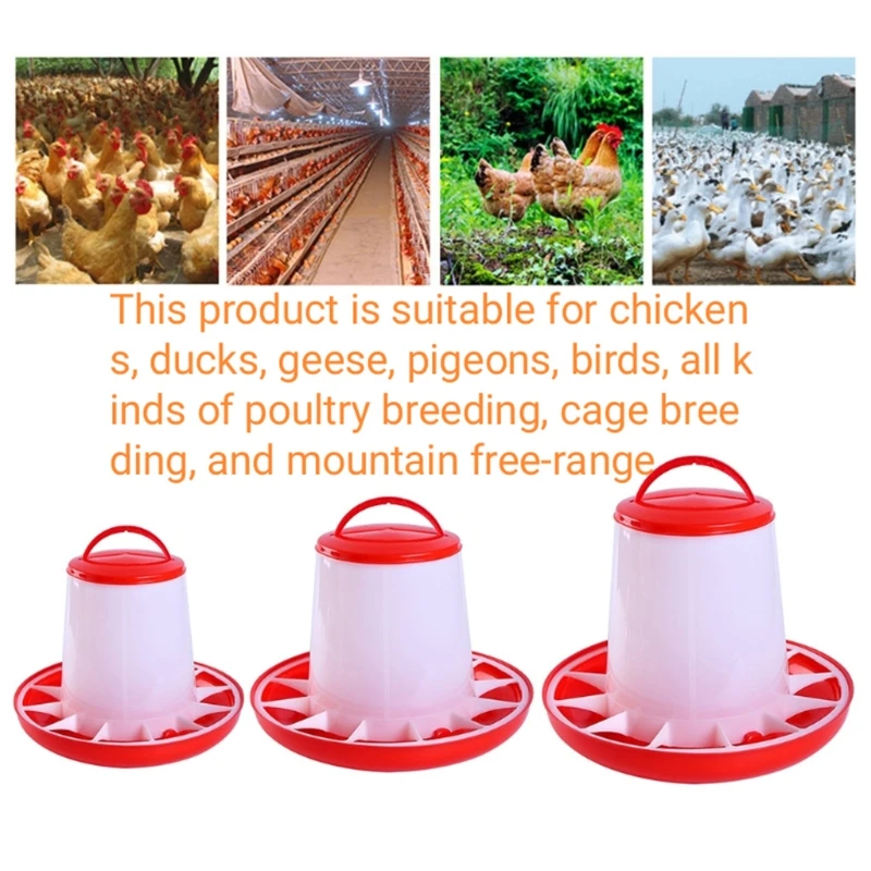 Chick Feeder Hanging Plastic Fed Poultry Container Bucket