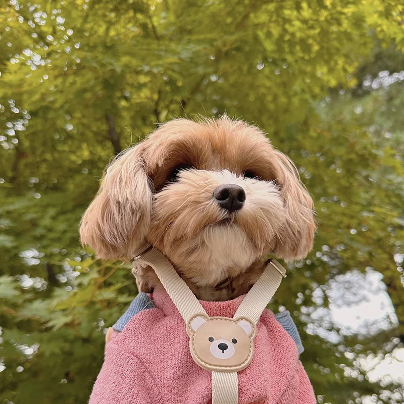 Thumbnail 4 - #21 Top Puppy Leads Picks for Every Budget