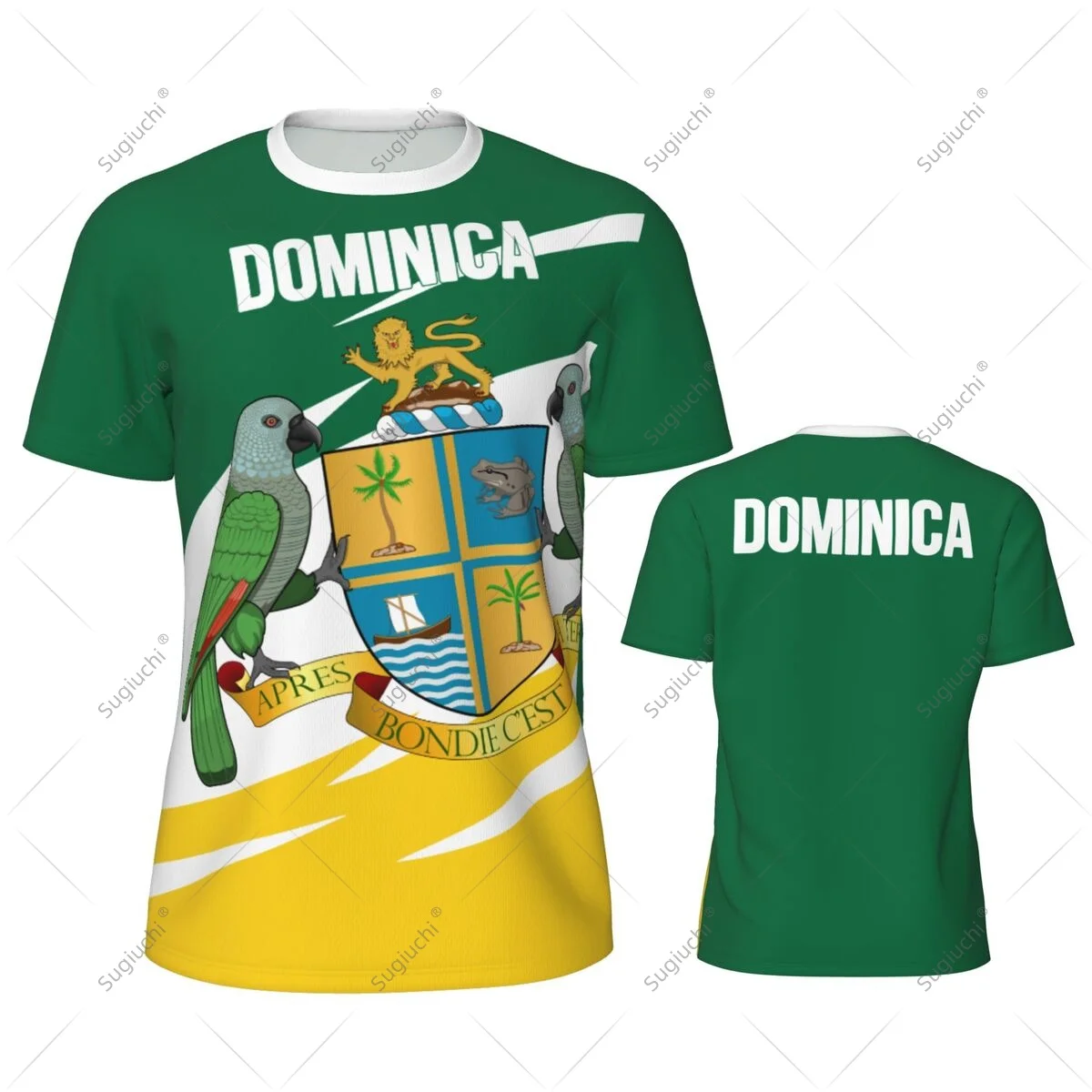 Dominica Flag Men Sports T-shirt Women Tees jersey for Soccer Football Running Bike Tennis Fitness Fans