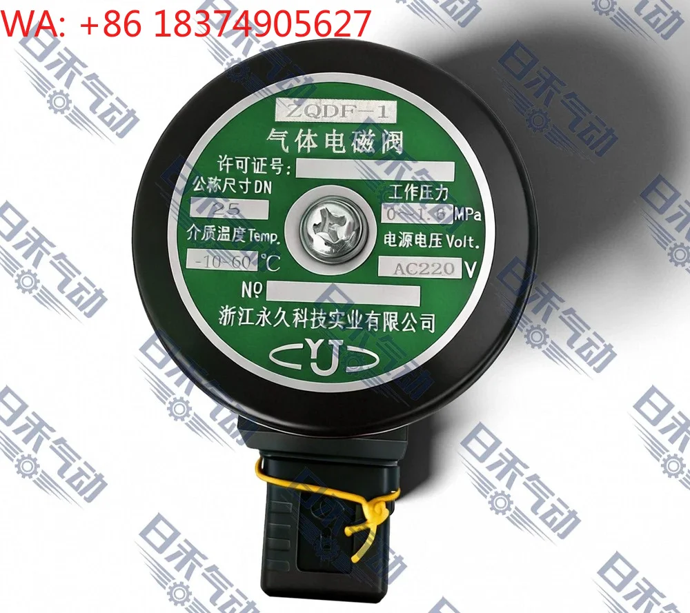 Permanent solenoid valve ZQDF-1 DN25 A C220V 0~1.6MPA 60 ° C