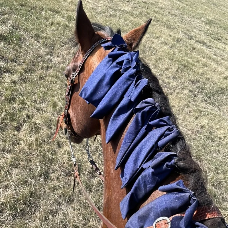 Horse Mane Protector Cover Sun‑proof Wind‑proof Anti‑Dirty Guard Prevent Tangling Breakage Equestrian Horse Stable Care Supplies