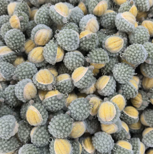 Lot 10 Pcs Plucked resin Durian  fruit Charms Jewelry Making  Earrings Pendants Necklaces Bracelets DIY Accessories gift