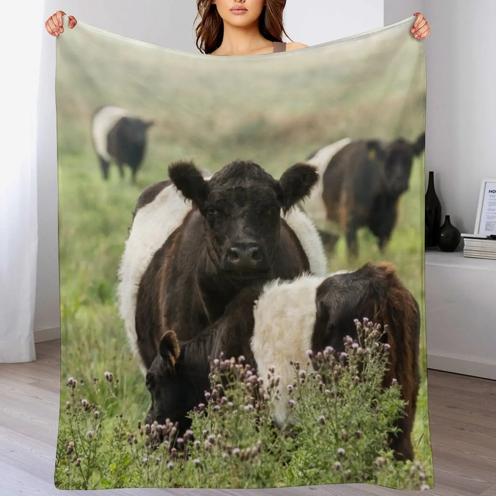 

Belted Galloway Cows Throw Blanket Soft Plaid Sofa christmas decoration Blankets