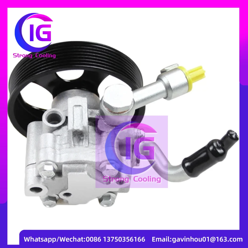 

Auto power steering pump for nissan NP300 NAVARA Pathfinder JR25 QR25 VQ40 D40 R51 Y62 49110-EA200 49110-JR500