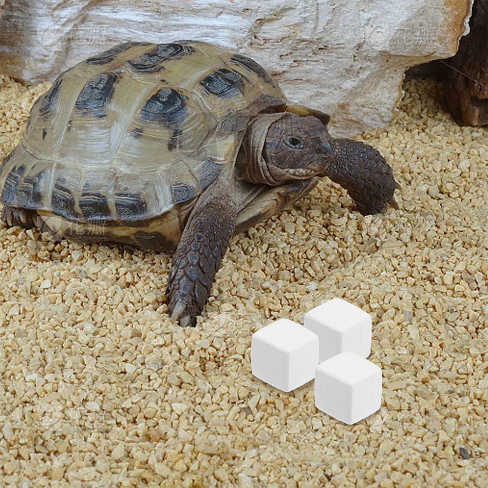 12Pcs Natural Reptile Pet Supplement for Habitat Strong Bones Reptile Accessories Hermit Crab Turtle