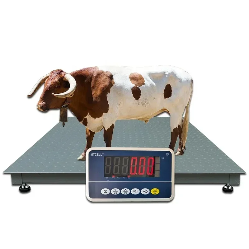 cattle weighing scale 2t 1t balancer livestock