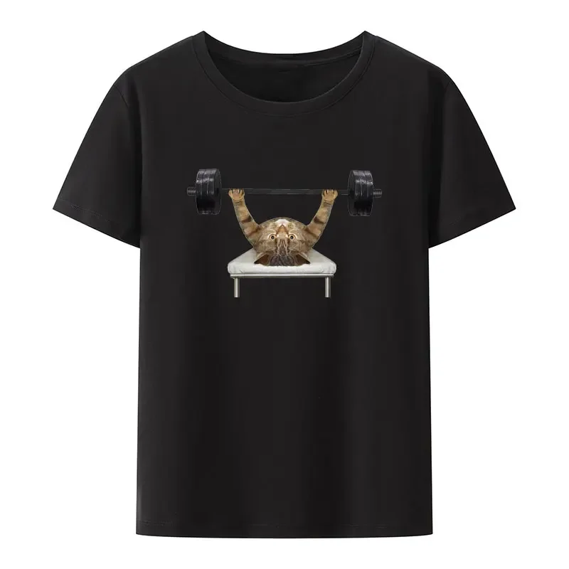 Gym Lover Breathable Cool Camisetas Funny The Beige Cat Athlete Is Doing Exercises with A Barbell on Bench Press Modal T Shirt