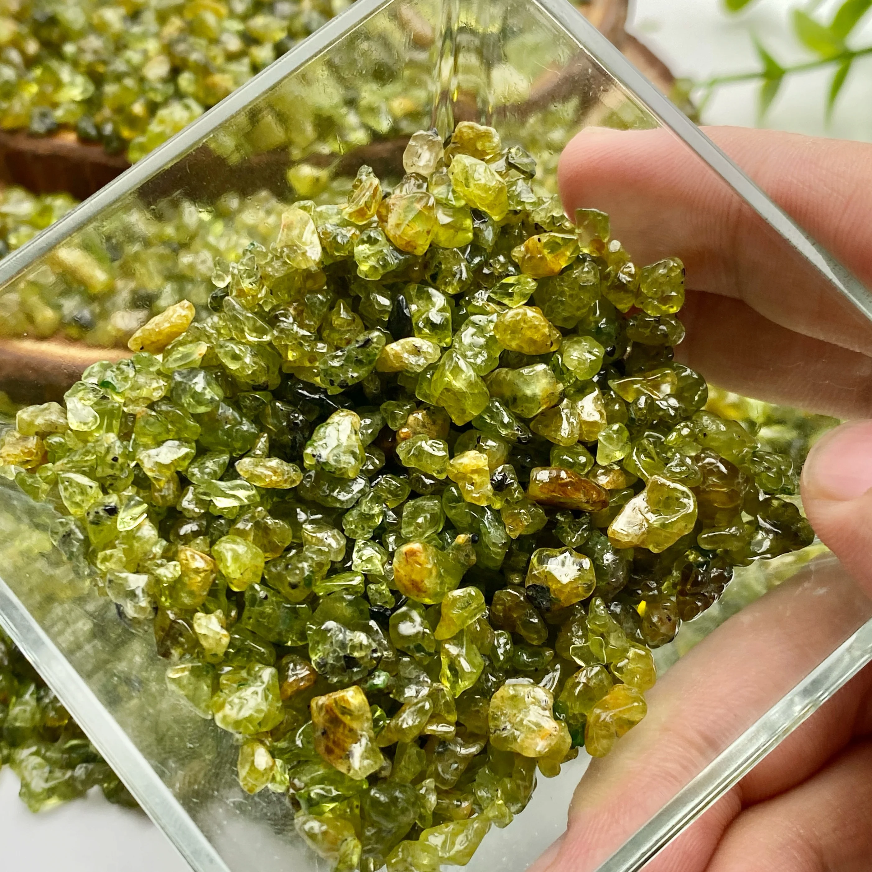 50g/100g/Bag Natural Stone Olivine Material Crystal Gravel Stone Chips Ore Minerals Reiki Specimen Gemstones Aquarium Decor.