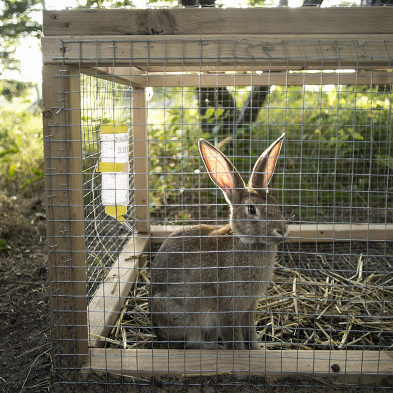 

2Pcs 250ml Pet Water Fountain Rabbit Chinchilla Feeder Leak Proof Smooth Surface Easy Monitor Liquid Intake Rabbit Water Feeder