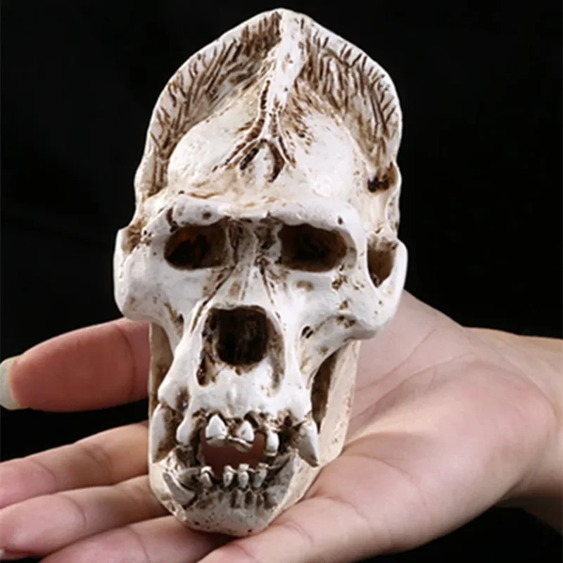 [MGT]Direct Selling Mrzoot Gorilla Skull Resin Craft Skeleton Halloween Personalized Decoration Home Ornament Medical Teaching