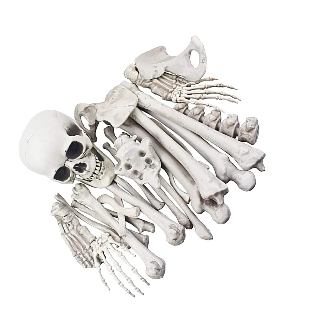 

Halloween Bones Decoration Graveyard Haunted Prop Plastic Human Skull Ornament For Party Yard Spooky Decor