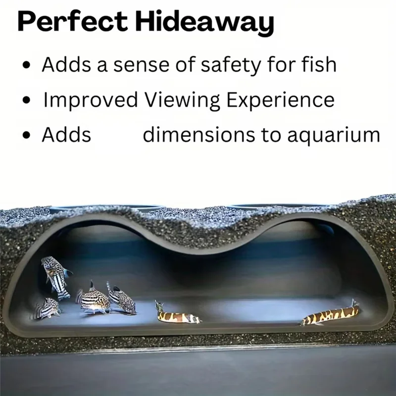ABFI Benthic Organisms Scenichiding Places ลาดใต้ดิน, ถ้ํา, พิพิธภัณฑ์สัตว์น้ํา Double Hole, พิพิธภัณฑ์สัตว์น้ํา