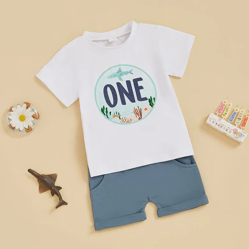 Toddler Boy Birthday Set Cute Short Sleeve Tee with Matching Elastic Waist Shorts for Summer Celebrations