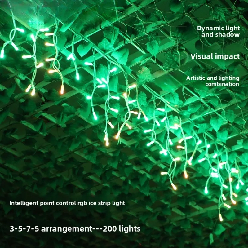 

Outdoor waterproof decorative light 66V programmable full-color light string 3D point control RGB intelligent LED ice bar light