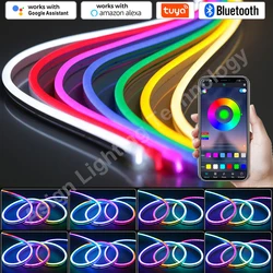 DC12V Led Neon Streifen Lichter RGBIC Jagen Dreamcolor IP67 Wasserdichte RGB Flexible Band Tuya Smart WiFi/Bluetooth/Remote control