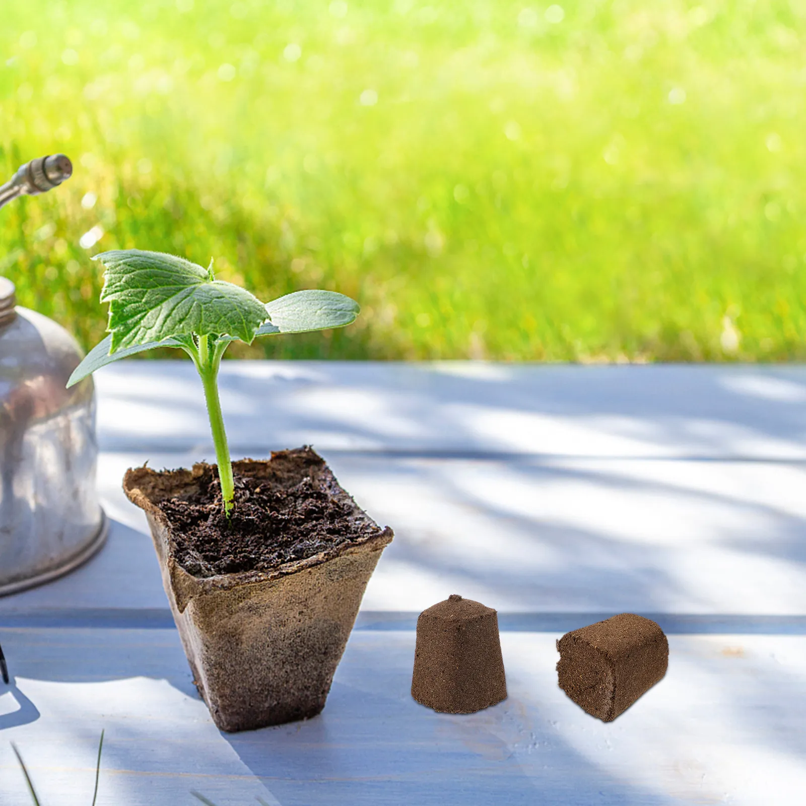 10 Unidades de Bloques de Turba para Semilleros, Sustrato para Plántulas, Alta Tasa de Éxito en Trasplantes, Fertilizante y Nutrientes para Plantas, Tierra para Jardín y Hogar