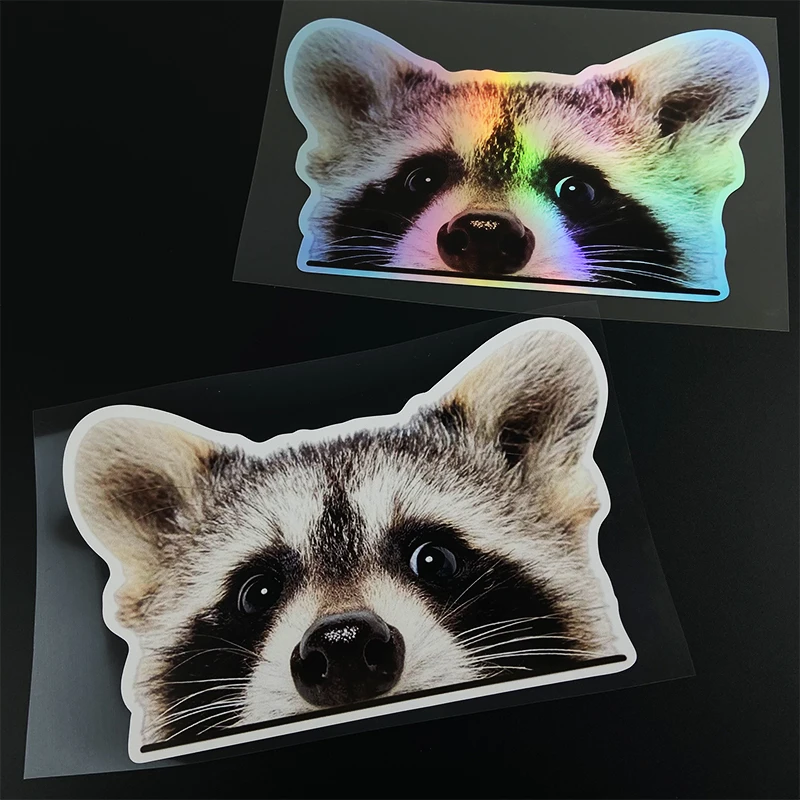 Pegatinas de vinilo duraderas para motocicleta, pegatinas impermeables para tanque de combustible de motocicleta, decoración para ventana de maletero de coche, 1 ud.