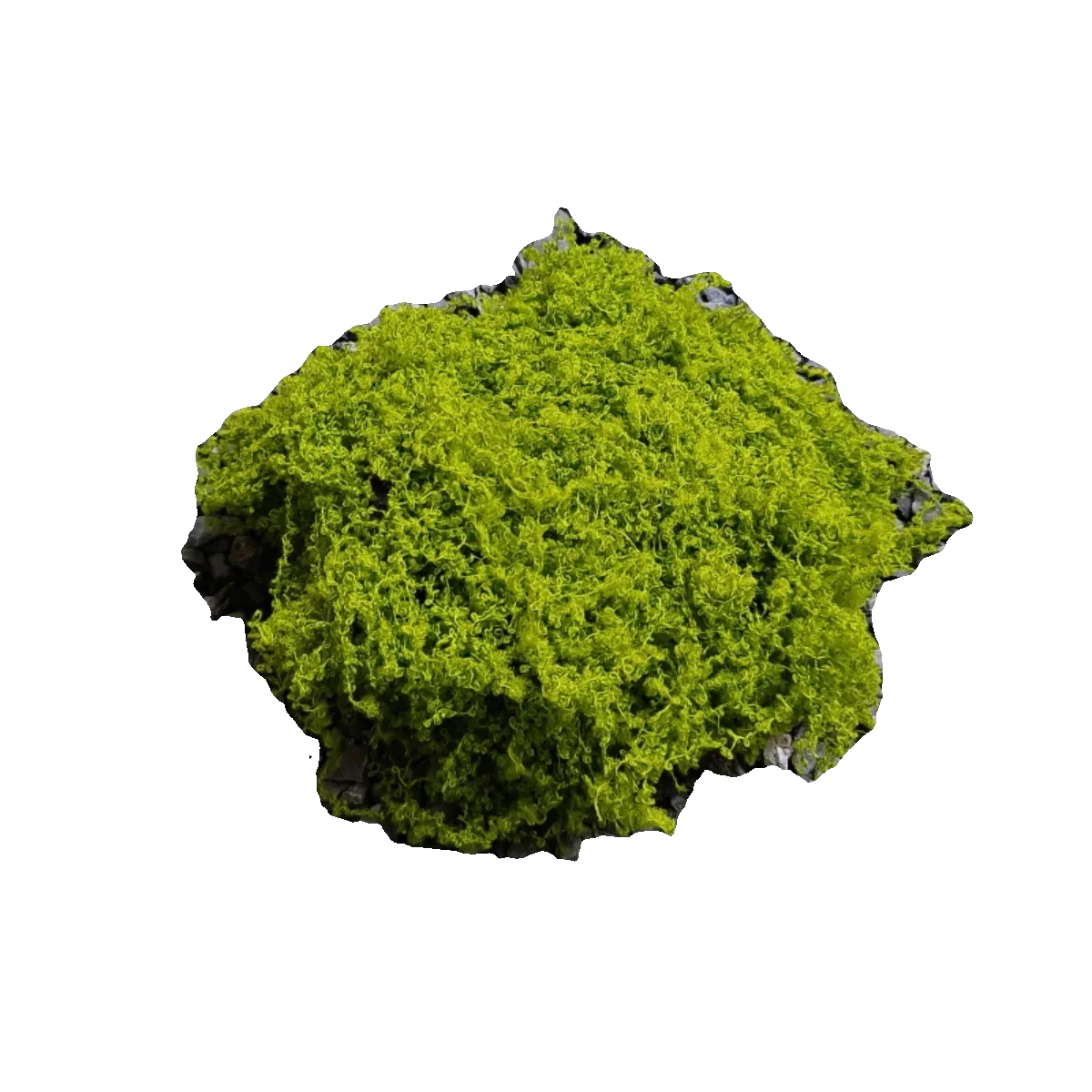 Realistic String Artificial Moss Faux Green Mat Polyester Fiber Terrarium Topping for Bonsai Pot Micro Landscape Fairy Garden