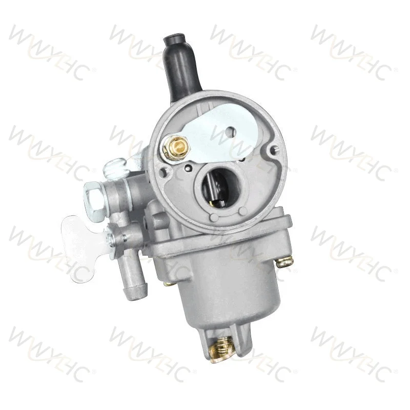 Carburetor Suitable for 40F-3 40F-3Z 3WF-3AB Pesticide Sprayer & Fertilizer Applicator