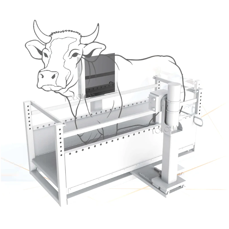 LHWRV80B Veterinaire Digitale Radiologische Beeldvormingssysteem Boerderij Paard Koe Vee Röntgen DR Machine voor Grote Dieren