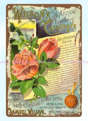 1892 Roses, rainbow waterfall garden flower seeds Samuel Wilson, Mechanicsville