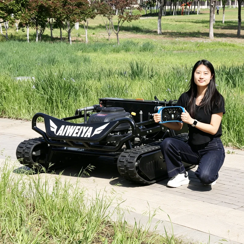 

Customized Ce/Epa Petrol Garden Automatic Radio Control Handheld Remote Controlled Lawn Mower