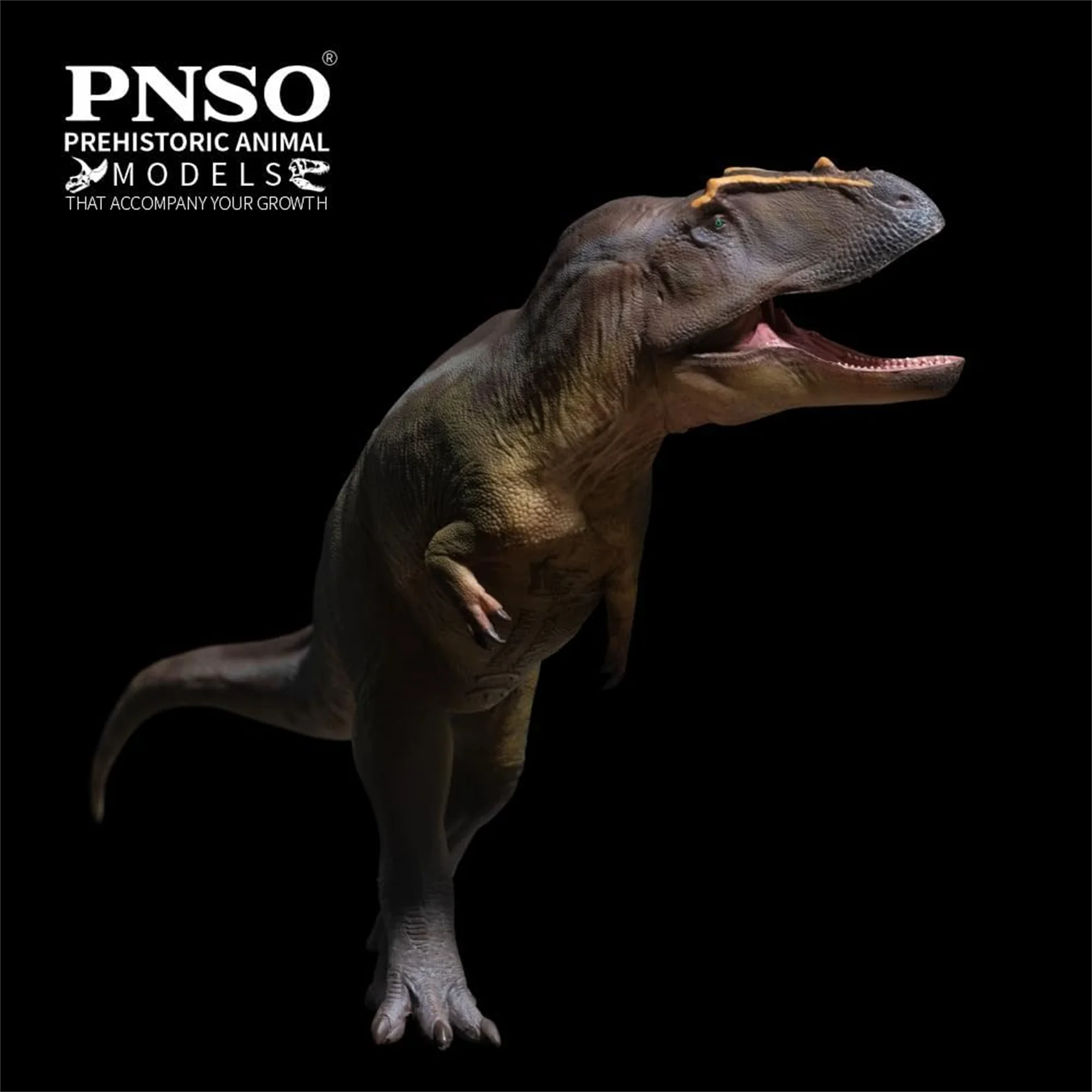 PNSO Tameryraptor 95 modelo adulto Animal prehistórico dinosaurio coleccionista figura arte científico decoración niños juguetes educativos regalo
