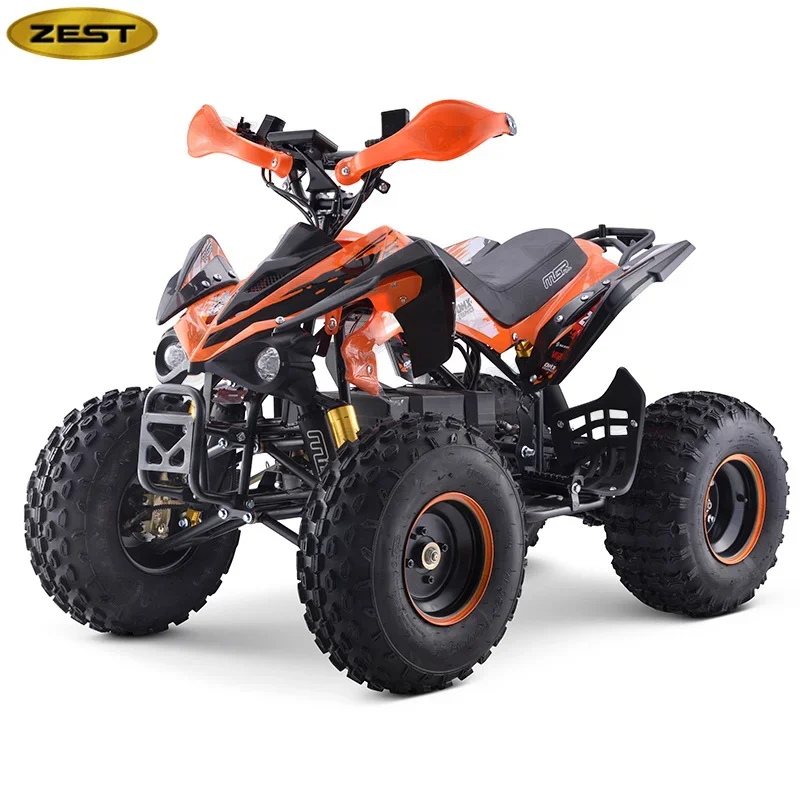 Chinese Popular 4 Wheeler Quad Farm ATV For Adults For Sale