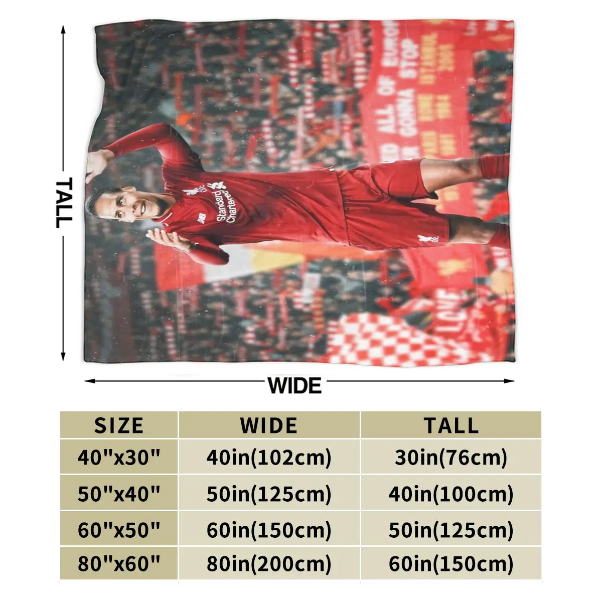 Virgil Van Dijk An Ultra-Soft Micro Fleece Blanket