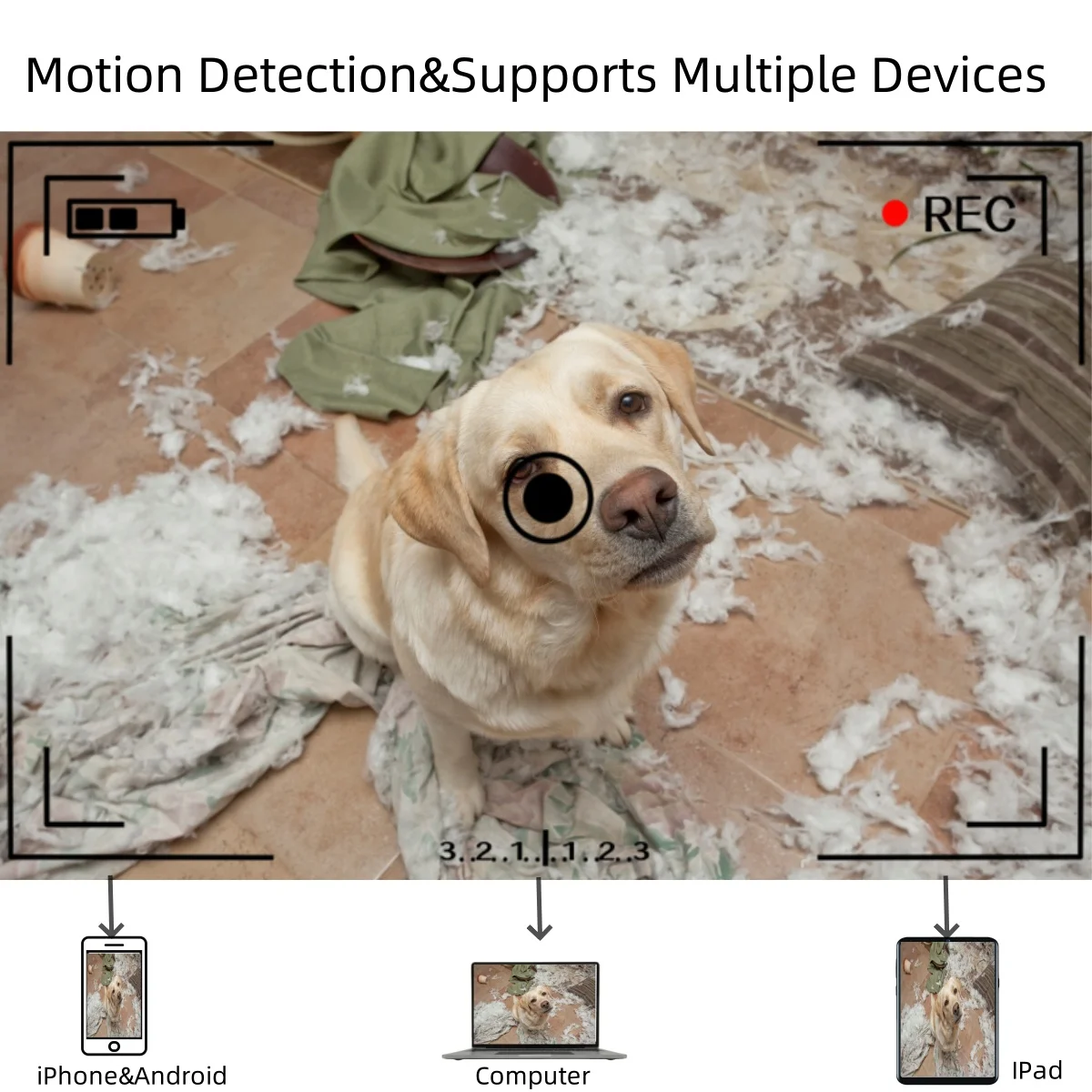 Imagem -05 - Mini Câmera com Detecção de Movimento Módulo Faça Você Mesmo Alarme Nanny Cam Visualização Remota Câmera em Miniatura Segurança Doméstica e Escritório hd Wifi