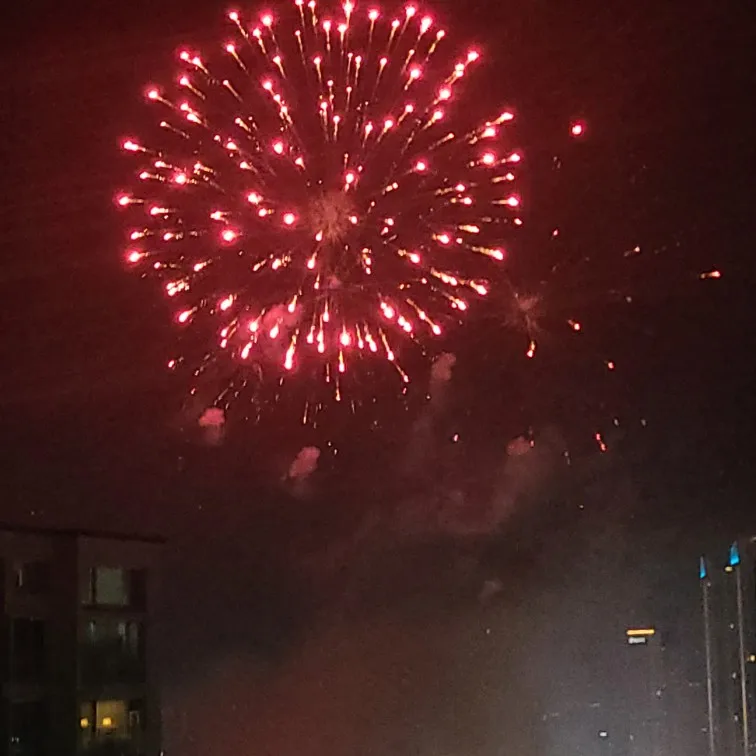 리뷰 사진