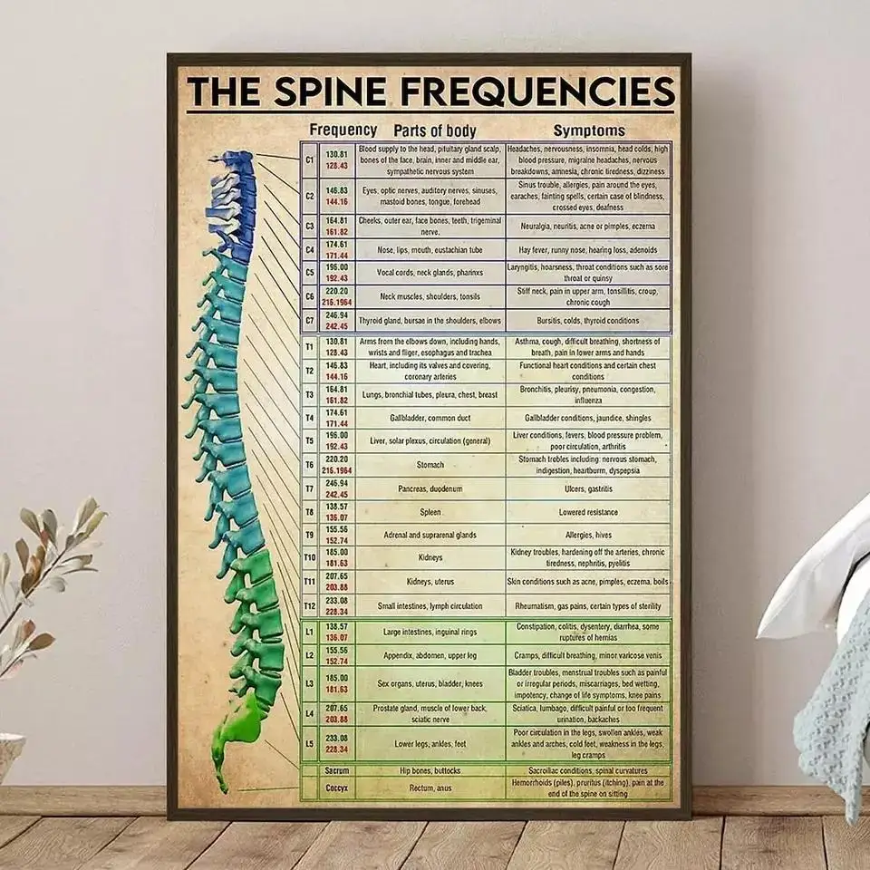 The Spine Frequencies Art Silk Poster, Wall Art, Home Decorative Painting