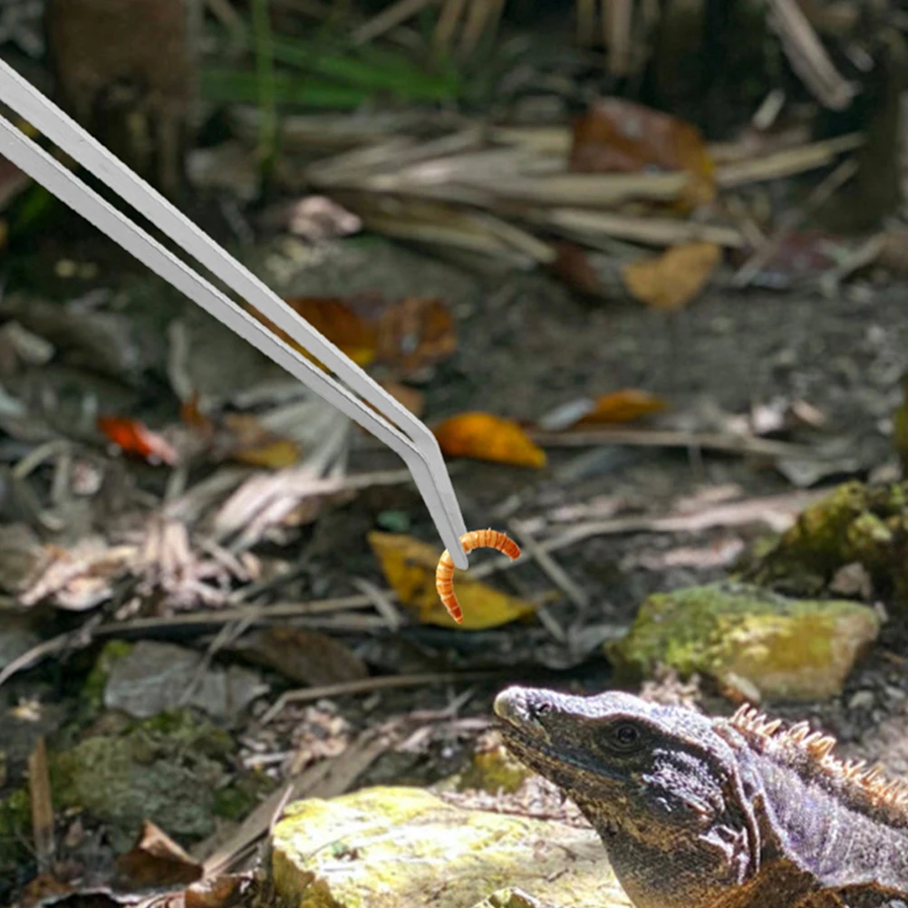 

2Pcs Heavy Duty Feeding Tongs for Reptiles and Aquariums Extra Long Tweezers with Flat Tips Terrarium Tools for Pet Care
