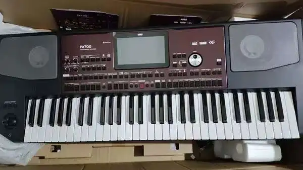 

Wholesale Price Korg Pa700 Oriental Professional Arranger 61-Key with Touchscreen and Speakers