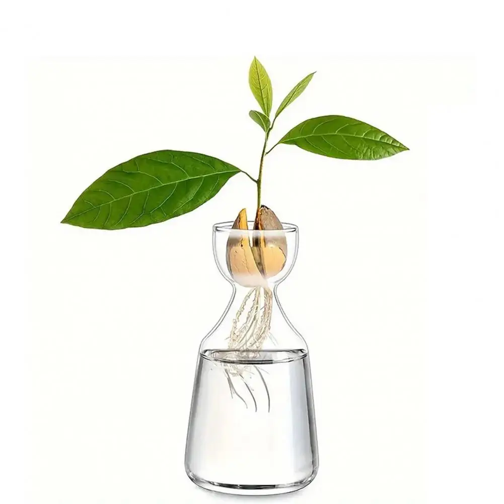 Pflanzendekoration Künstlerische Blumenvase Glas Hydrokultur-Vase für Pflanzenvermehrung Avocado-Zuchtbehälter Künstlerisch für Zuhause