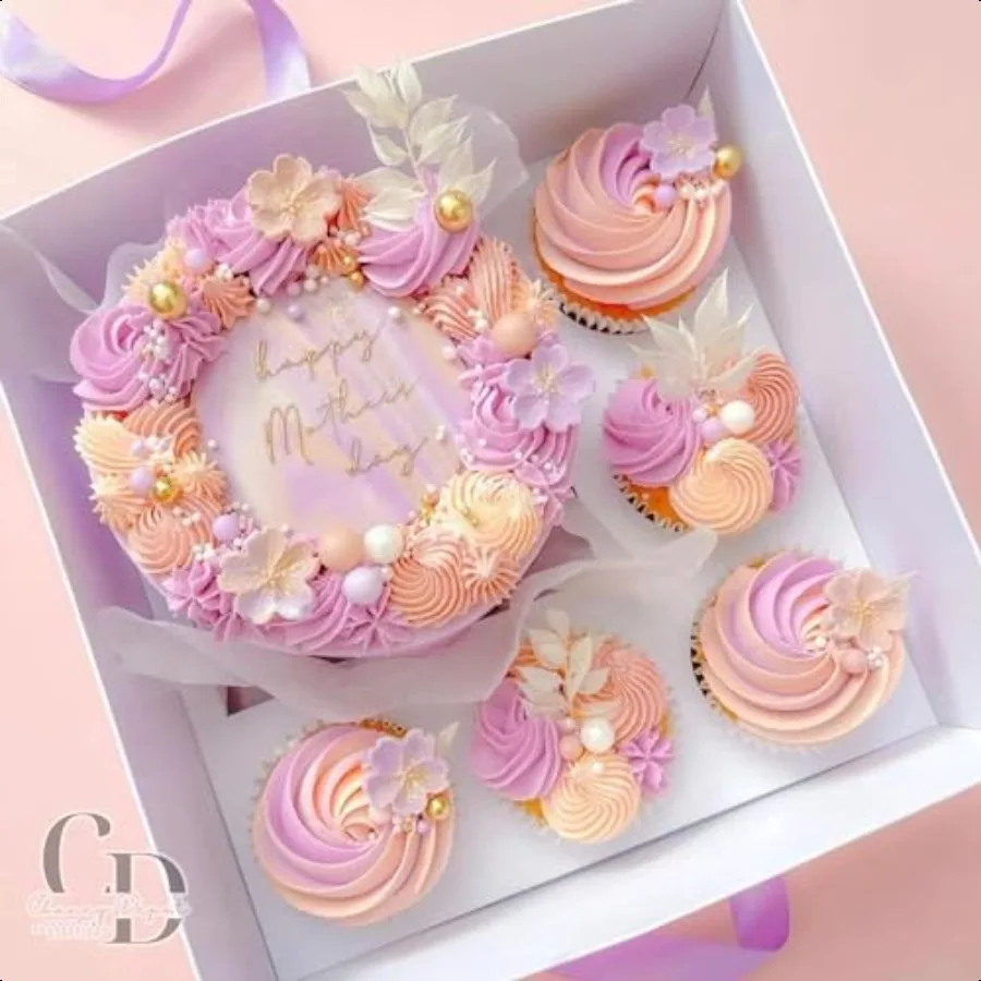 

5 pack Bento Box Cupcake and cake box 5 cupcake cavity space and 1 45in cake slot cupcake cake baking ply box treats donuts and
