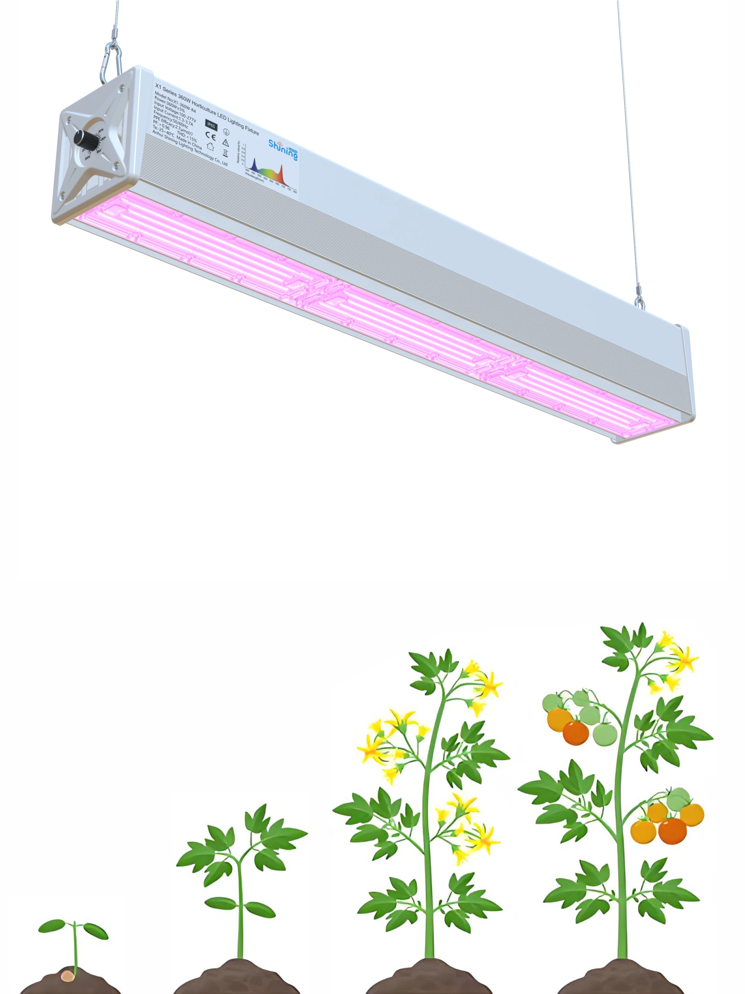 

Shining Lighting Full Spectrum LED Grow Lights 360W for Seedling, Flowering, Fruiting – Indoor Plants, Greenhouse
