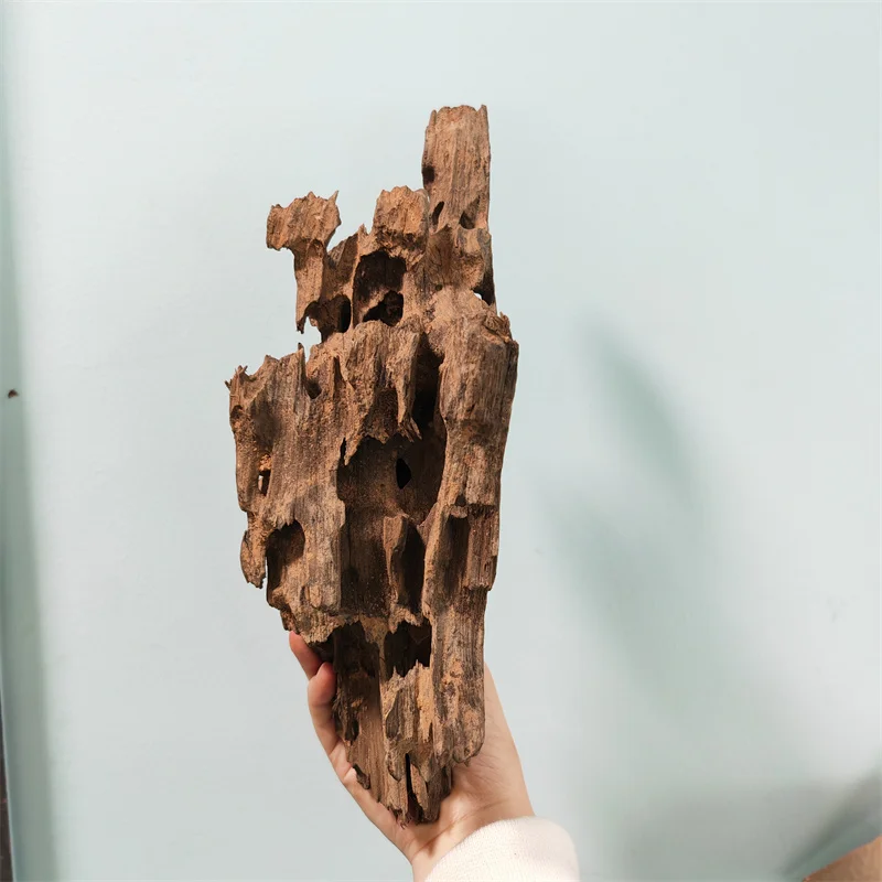 Shrimp wood Fish rest hole 5-40cm aquarium wood natural extra large Fish tank Fish Tank Driftwood Tree Trunk Drift wood Aquarium