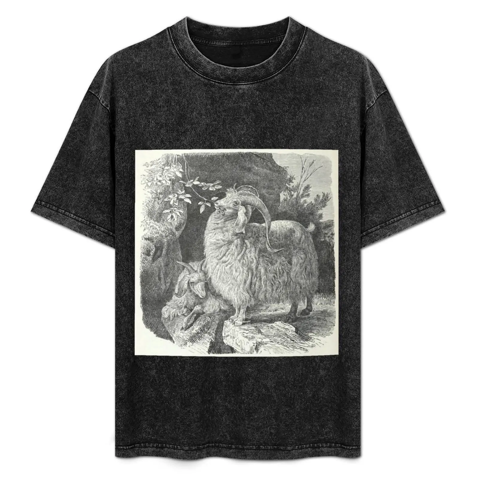 

Vintage Goat T-Shirt Quick Dry Training Short Sleeve Tee