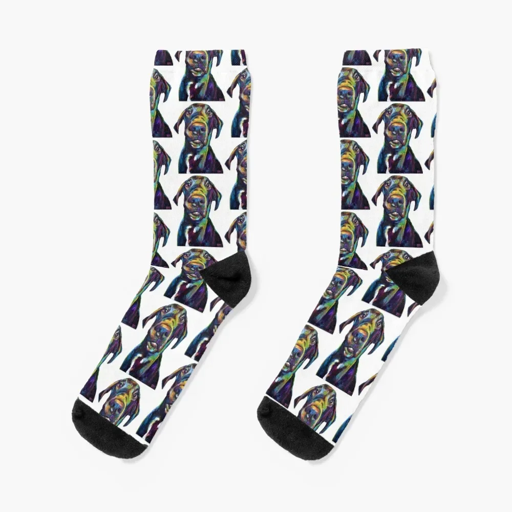 

Handsome Hank The Great Dane Socks Crossfit Run Toe sports New year's Ladies Socks Men's