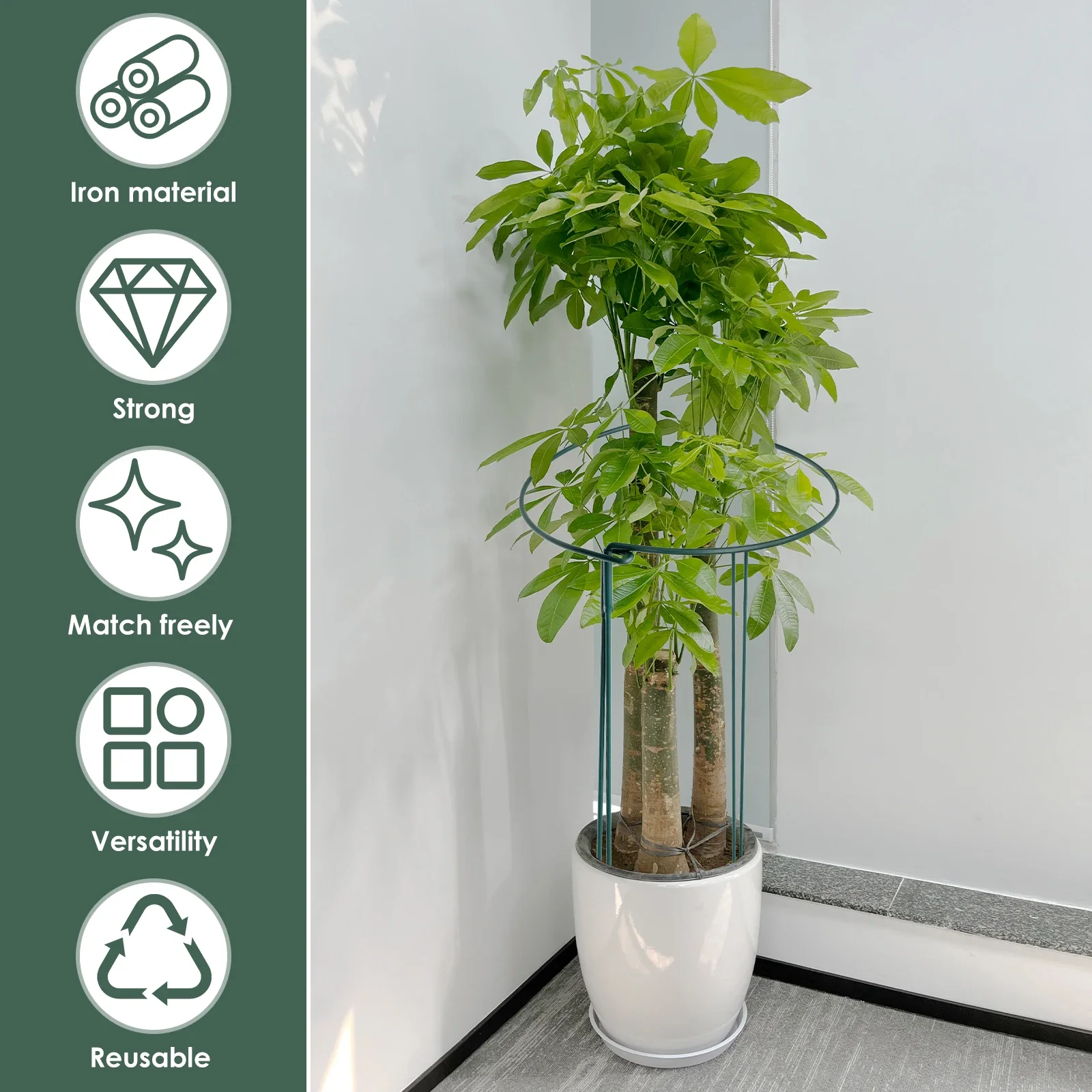 10Pcs Plant Support Stakes Metal Garden Supports Interlock Half Round Peony Support Ring and Cage Rustproof Garden Accessories