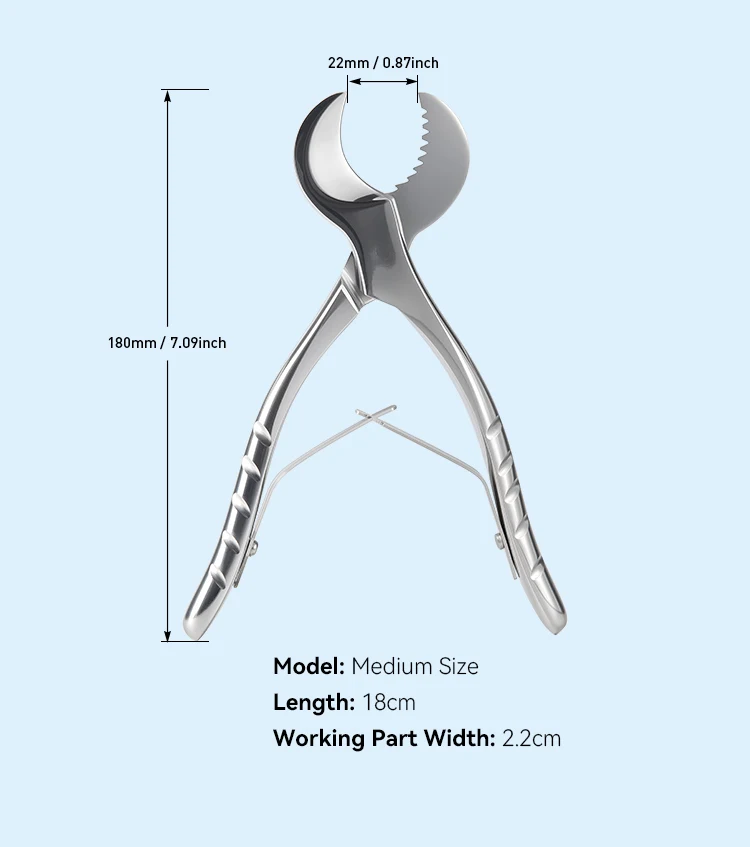 AZDENT Dental Gipsschere Schere Edelstahl Pinzette Instrument Gips Gips Zange Zahnmedizin Zahnarzt Labor Werkzeuge – Detail 4