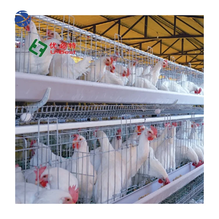 

yyhc Integrated Design 3 tiers and 4 tiers broiler cage equipment for chicken farm with CE