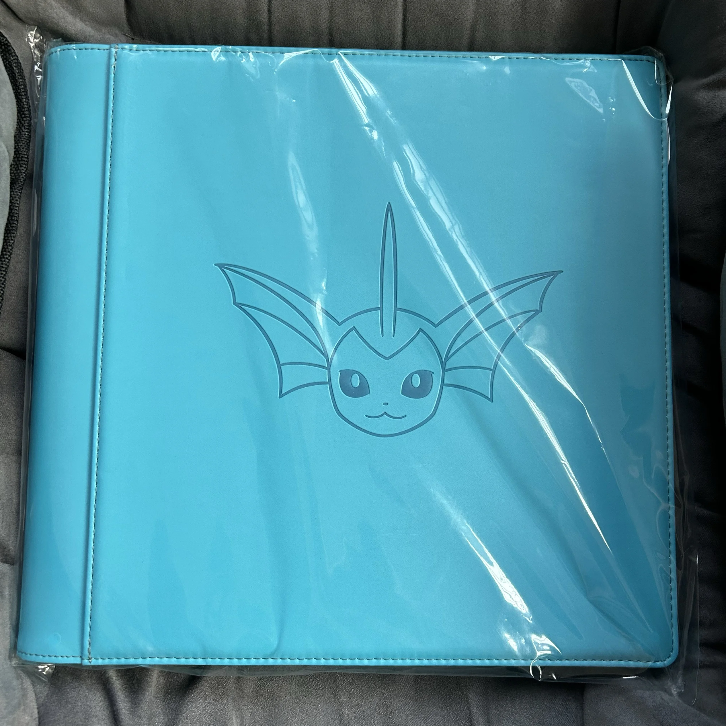 In Stock PokéMon Game PTCG Card Chinese Ibrahimovic Advanced Eeveelution Protection Register Card Book Collection Gifts Toys image 3