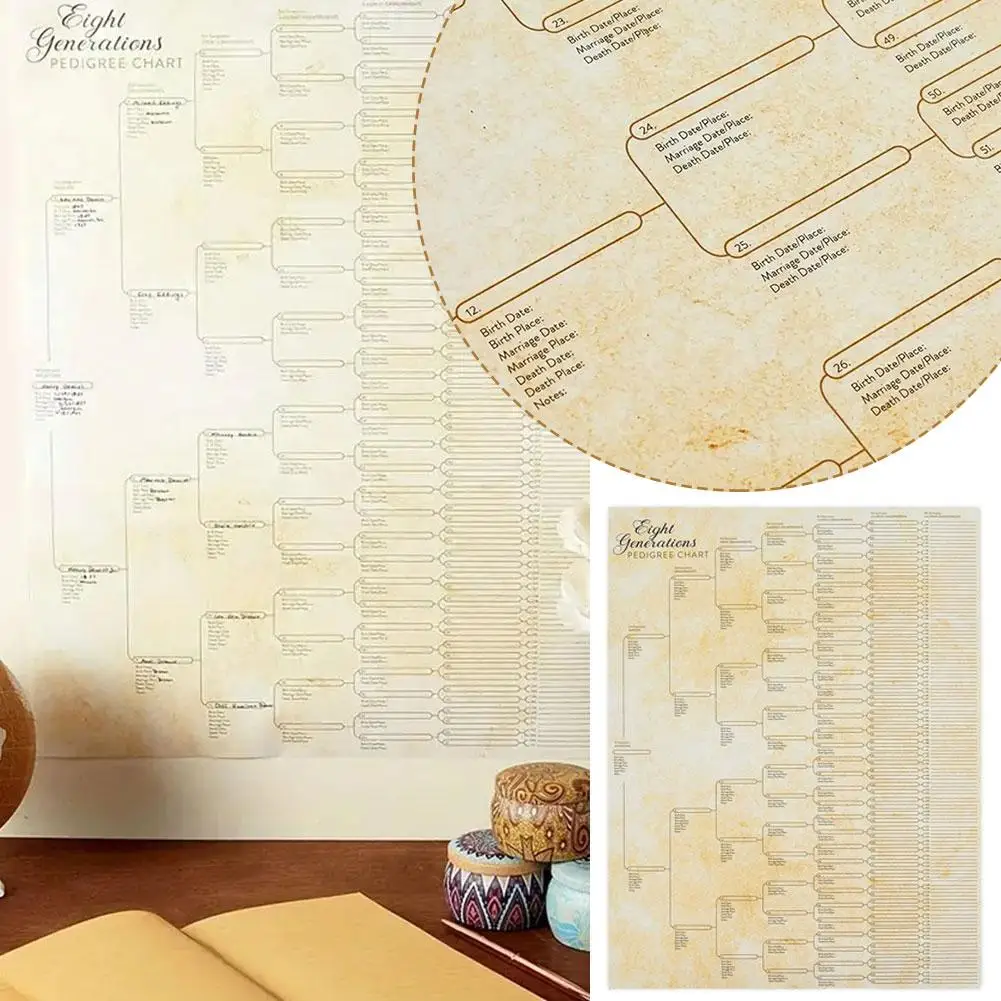 Family Relationship Chart Genealogy Poster Can Be Written And Clear American Understand To Retro Poster Easy Structure T9Y5