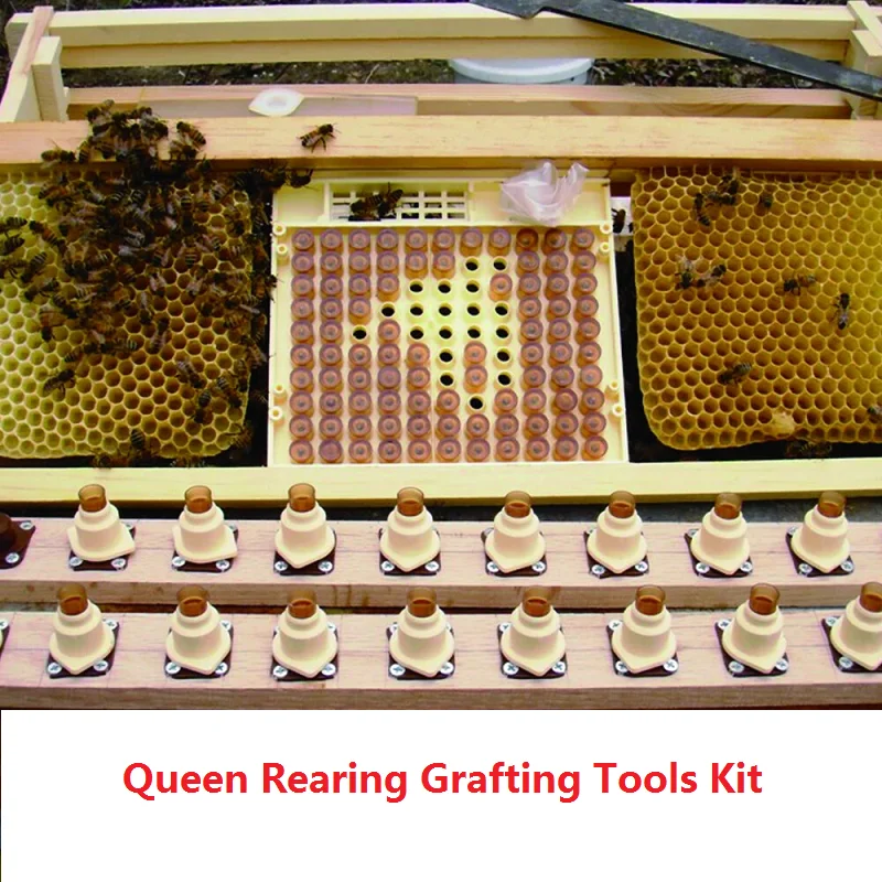 1 Set Queen Rearing Grafting Tools Kit Queen Bee Rearing Box Queen Bee Breeding Cell Cup Cell Cage Cell Cover Beekeeping Tools