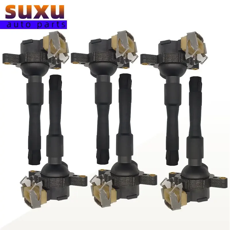 6 PCS Ignition Coil 12139067830 0221504029 For BMW E36 E46 E60 E39 E38 E52 E53 X5 4.4i 4.6is M62 4.4L Z8 S62 12131703227