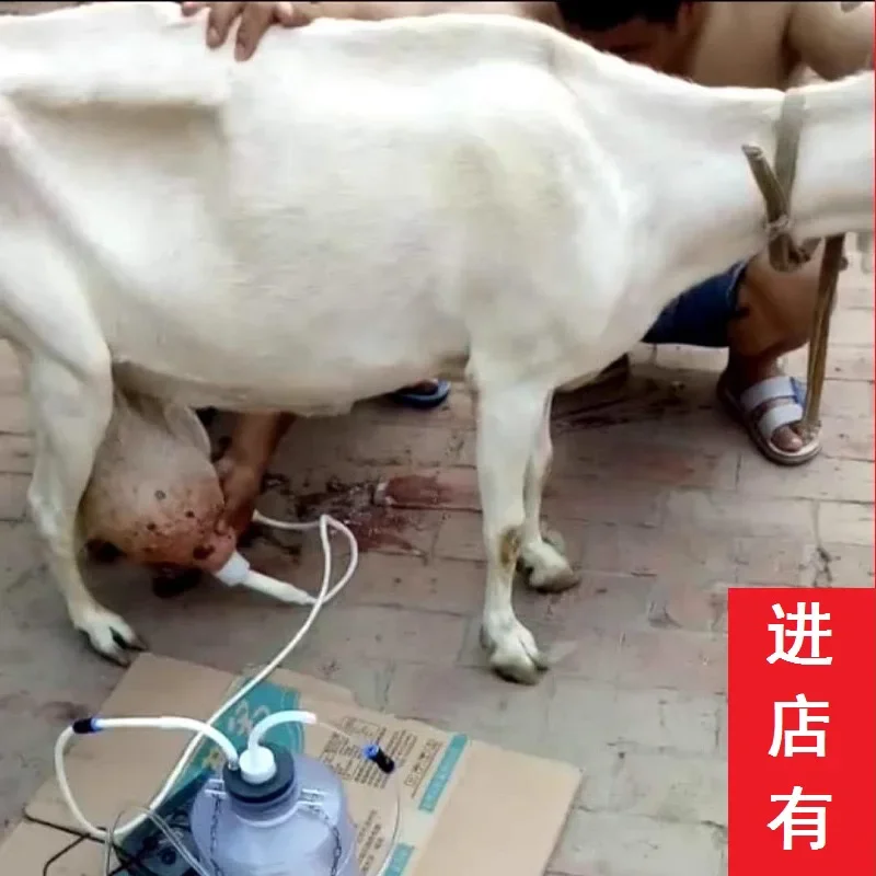 Electric Milking Machine for Cattle Goat Pulsating Milking Machine Stainless Steel Milker Bucket Farm Livestock Tools.