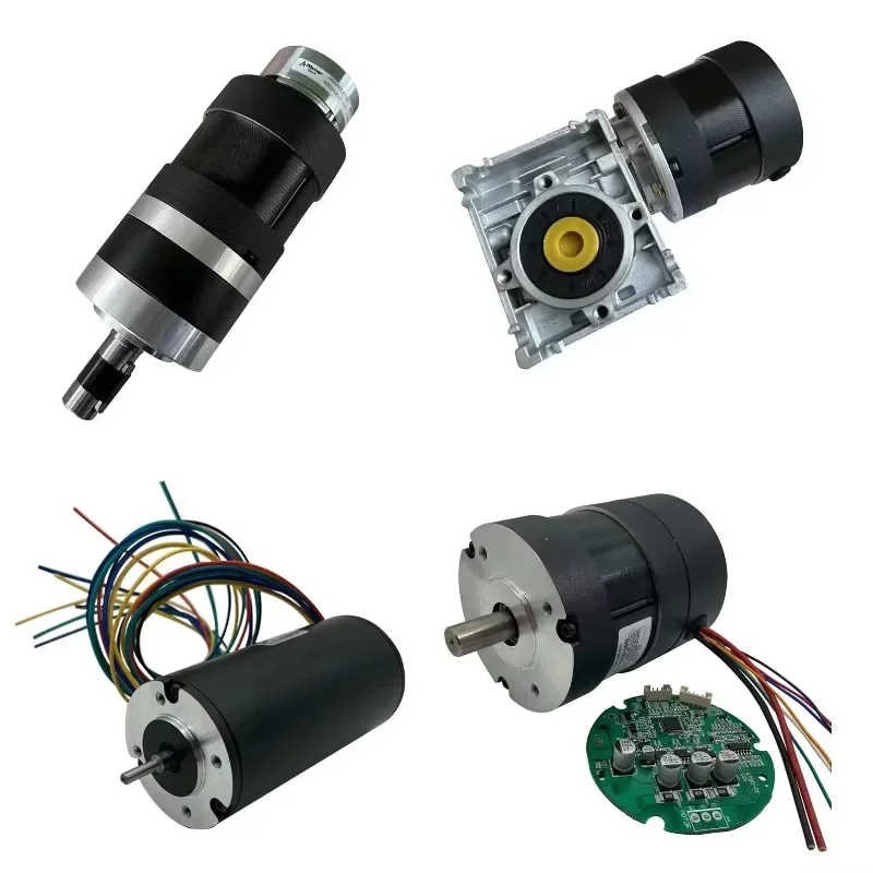 High quality customizable brushless DC motor 12v 18v 24v 36v 48v 60v 310v Gear 25w 50w 100w 200w 300w 500w 1000w customized